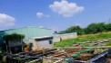 BÁN NHÀ MÁY SẢN XUẤT CAO SU ĐANG HOẠT ĐỘNG TẠI BÌNH PHƯỚC